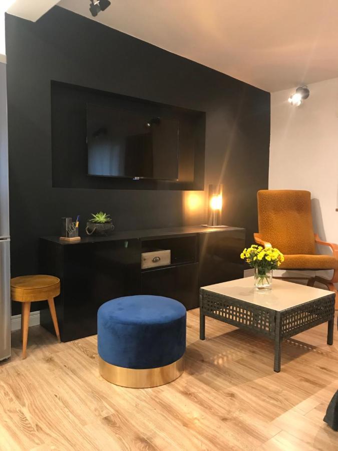 Apartament Ko-Piernika W Toruniu, W Sercu Torunskiej Starowki Екстериор снимка