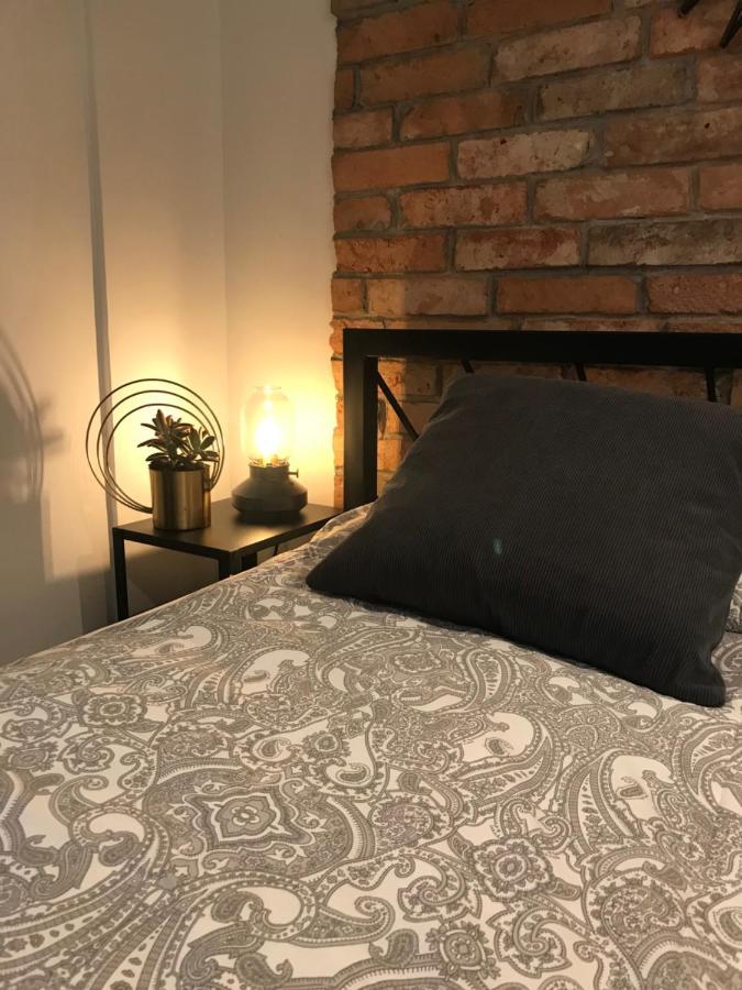 Apartament Ko-Piernika W Toruniu, W Sercu Torunskiej Starowki Екстериор снимка