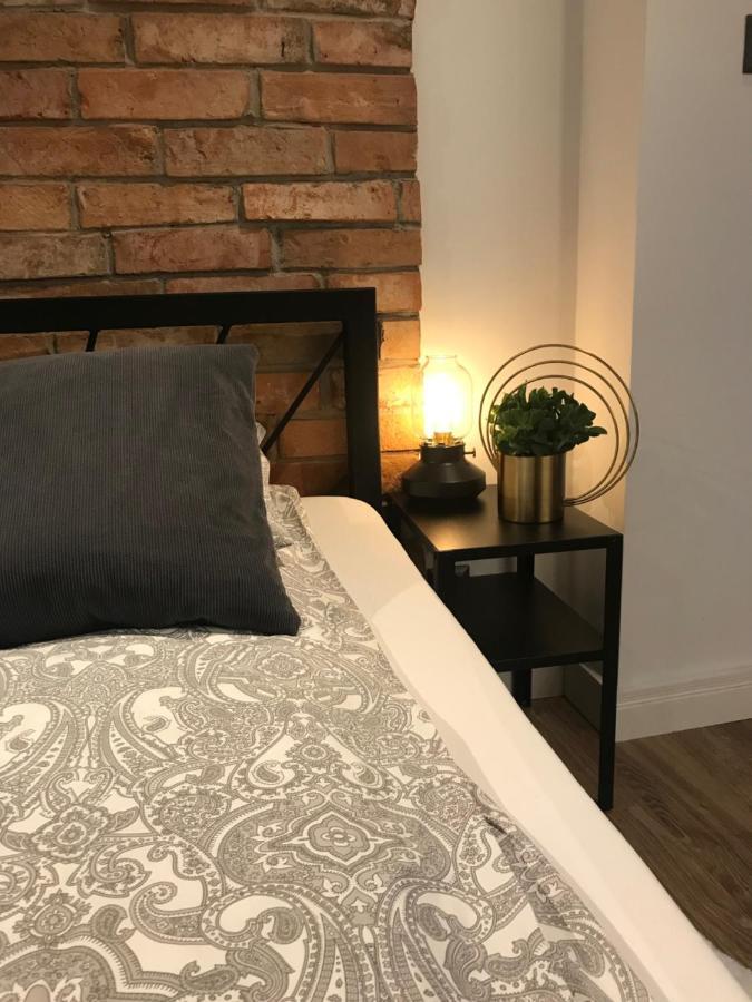 Apartament Ko-Piernika W Toruniu, W Sercu Torunskiej Starowki Екстериор снимка